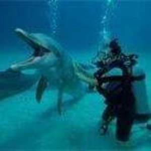 Meet your Posher, Evelyne